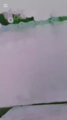 #♥️🍁🖤 # #♥️🍁🖤🤍🥀 #