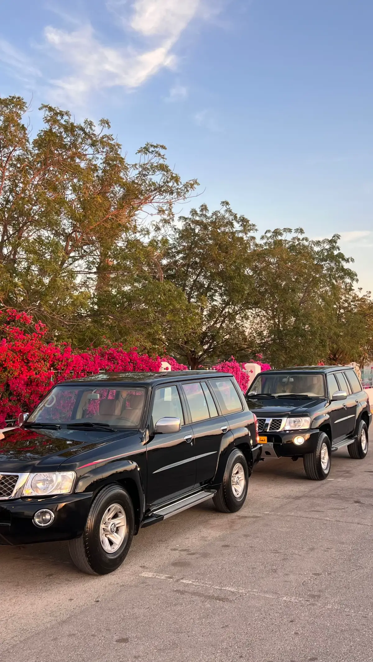 #4u #explore #اكسبلور #خيل_وخياله🐎 #فتك 