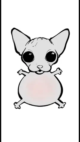 hairless cat version #fyp 