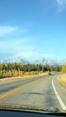 Can’t put into words how amazing this past week has been 💕 