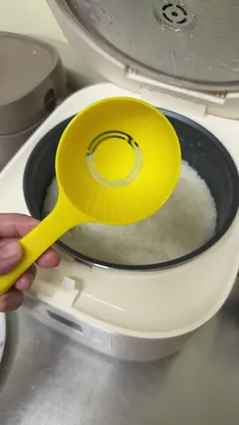 Rice scooper mold #ricescooper #caloriecontrol #diettips 