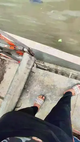 8 ngày 200c về thoyy  hẹn 8000 hậu giang vài bữa nữa 😋#phucnguyen95✓ 