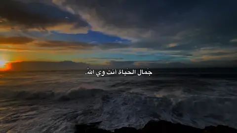 جَمال الحَياة أنتَ وَي اللّٰه. #شيخ_علي_المياحي #شيعة_علي_الكرار #تصميمي #لايك_متابعه_اكسبلور #صعدو_الفيديو 