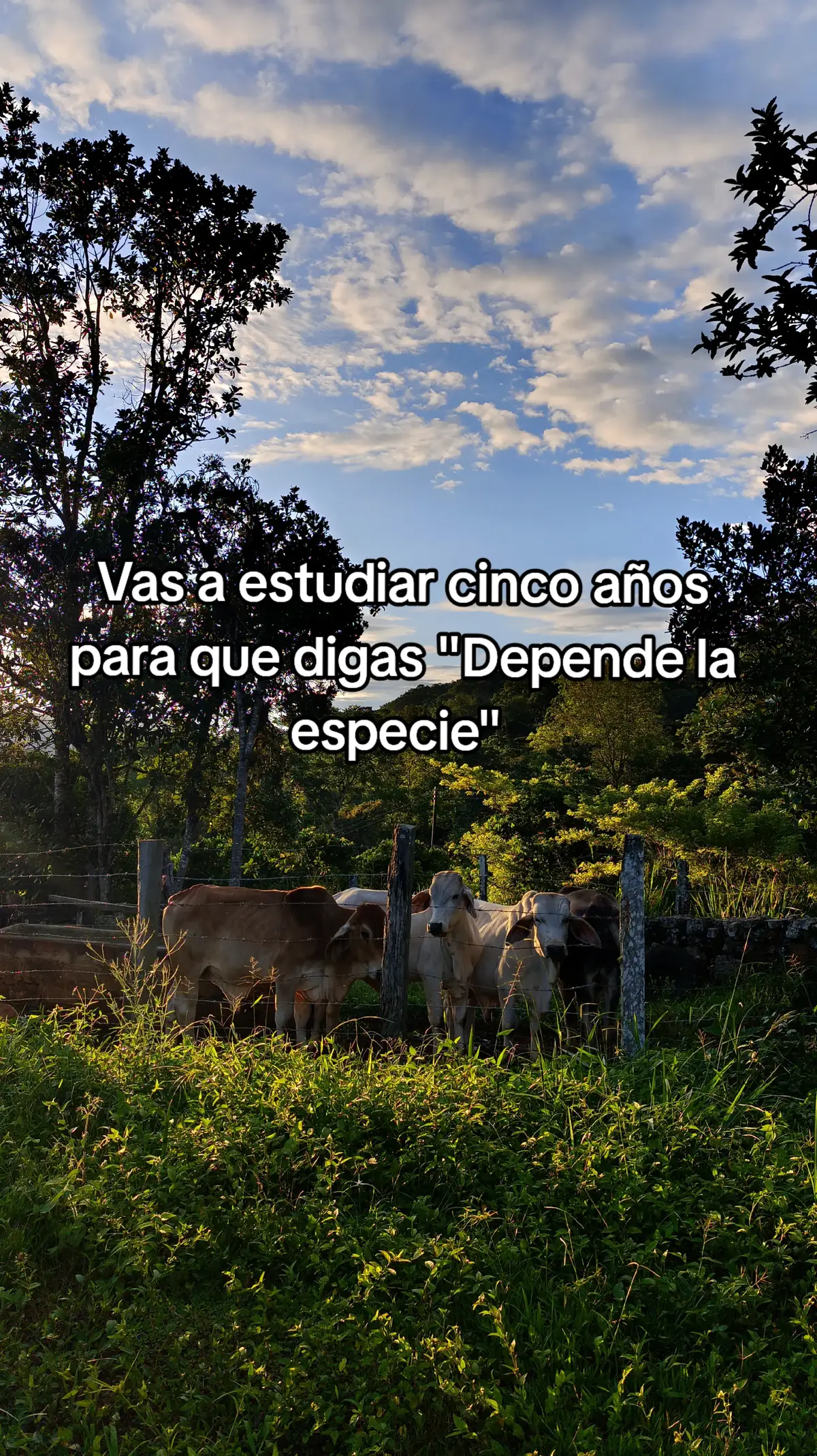Cada especie es diferente 😅#paratii #zootecnia #fyp #veterinariayzootecnia 