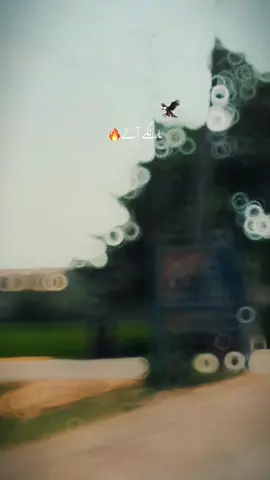 #مانگے_آلے🔥 