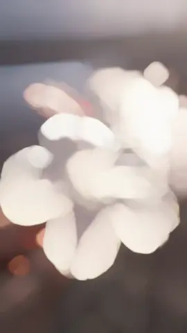 #onthisday #fypシ゚viral vedio#for you page#unfreez my account👃👃👃👃👃👃👃#tiktok,bangladesh 