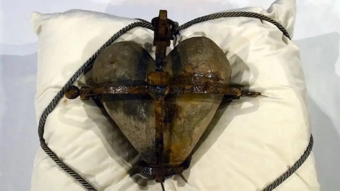 no because whats wrong with being a fujoshi neurosurgeon #fentysuperbrandday #gothic #alttiktok 