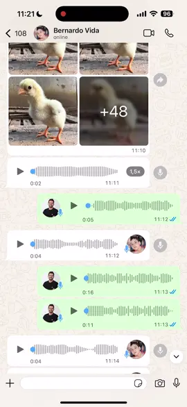 Quero não Bernardo! 