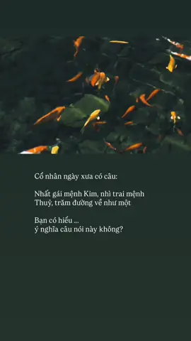 Bạn có hiểu không?