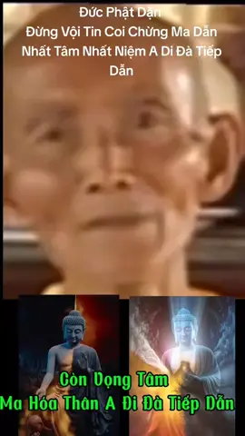 còn vọng tâm thì ko được tiếp dẫn #kinhvôlượngthọ #kinhdiatangbotatbonnguyen #phápmôntịnhđộ #sưthíchgiáckhang 