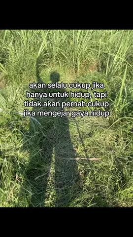 #sobatngaret #sapi #peternaksapi #peternakmuda #bismillahfypシ 