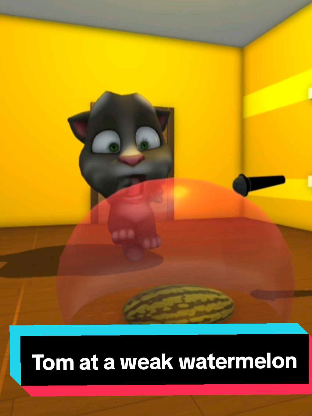 Arbus Arbus priviat talking tom version #mytom2 #mytalkingtomfriends #arbusarbusprvjet 