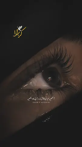 Mola Zawar Bana Dein 🥺🙌🏻❤️‍🩹 . . . . . . #molazawarbnaday #nadeemsarwar #fyp #karbala #shia #shiastatus #noha #foryou #foryoupage❤️❤️ #creatorsearchinsights #alijee 