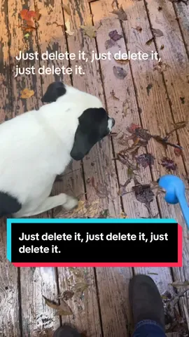 ODPF deletes there’s so much fun to talk about and I think it’s awesome when it’s the only answer that everybody has to any problem on their Diesel Truck #DPFGuys