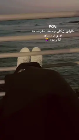 أنا سيدة وسيد أبوك 🤷‍♀️