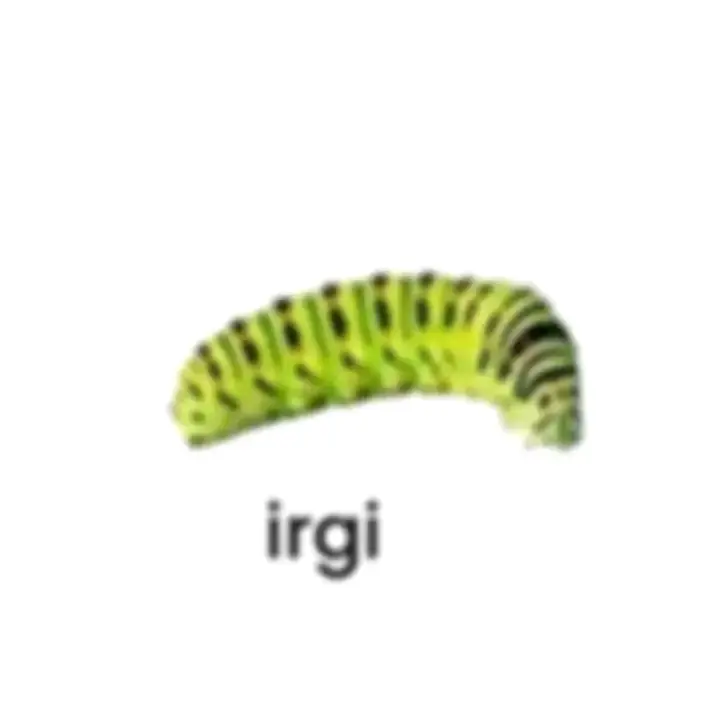 nama anomali hewan😹  #foryoupage #f #anomali #hewan #meme 