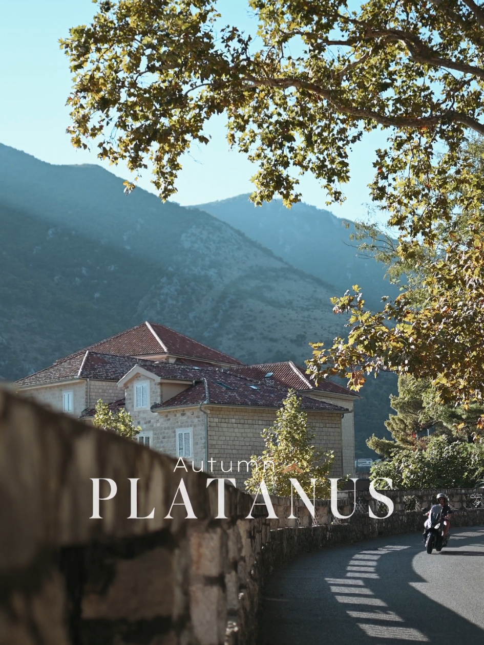 Jesen u Kotoru🥰 #kotor #bokakotorska #bokabay #crnagora #crnagora🇲🇪 