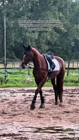 so proud to call you mine!! so gorgeous 💓 || #fy #equestrian #horse #competition #CapCut 