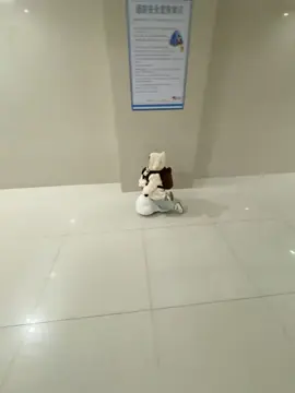 Cá thể boy phố vượt trội tương lai #cutebaby #mebimdiary 