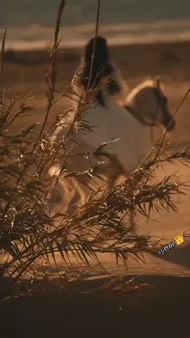 #شعره_براسي_متهزون🐎 #عباراتكم_الفخمه📿📌 #اكسبلور #fypシ゚viral🖤tiktok #fypシ゚viral🖤tiktok 