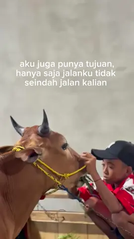 ya allah #kerapansapimadura #bismillahfyp #pisangmas #CapCut @Pisang Emas🍌 