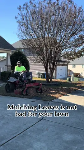 Mulching lawn on the lawn provides nutrients, improves soil structure, and reduces weeds, but it must be done correctly. #sixtenlandscaper #lawn #grass 