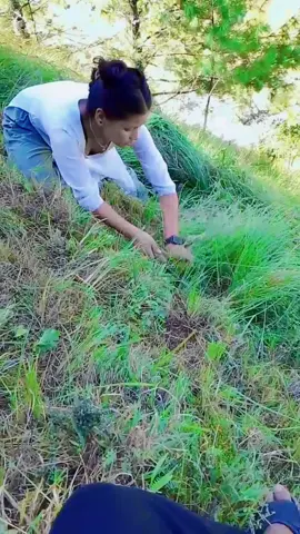 #viraltiktok #😘❣️😘❣️😘❣️😘❣️ @M.R 🖤💫jp🖤👑 ##lahuray_maya💙tiktoknepal🇳🇵 #😘❣️❣️❣️❣️ 