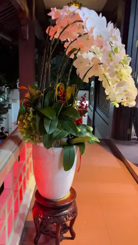 Đời vô thường. #xuhuongtiktok #duongcuongtea 