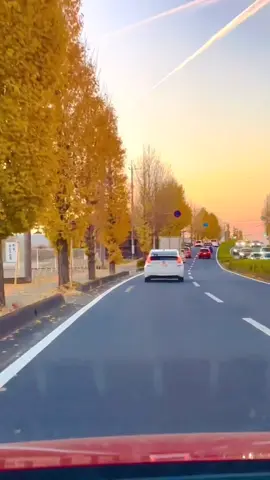 #LIVEIncentiveProgram #LIVEStory #PaidPartnership 