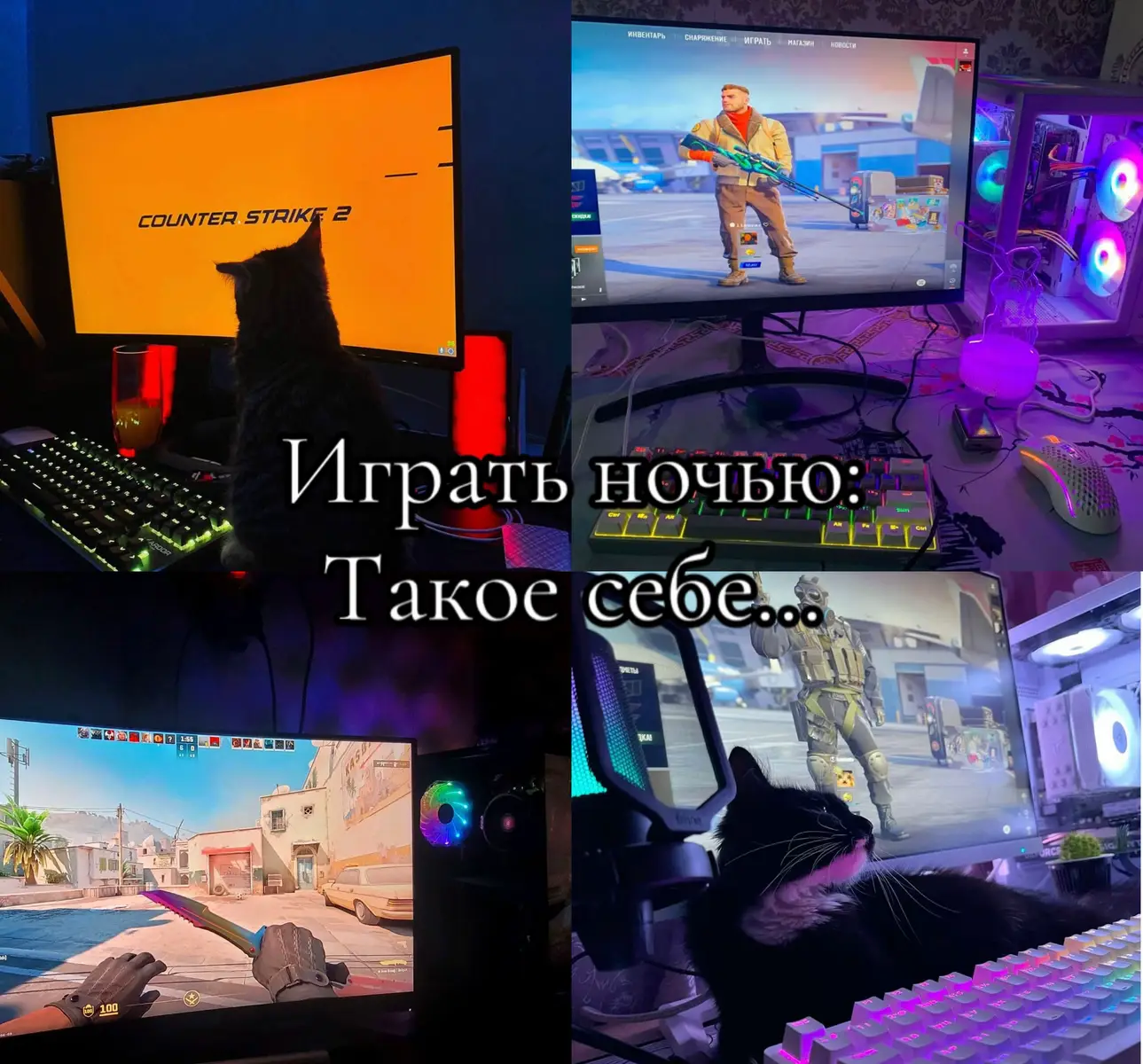 #маджестик #маджестикрп #majestic #кс #валорант 