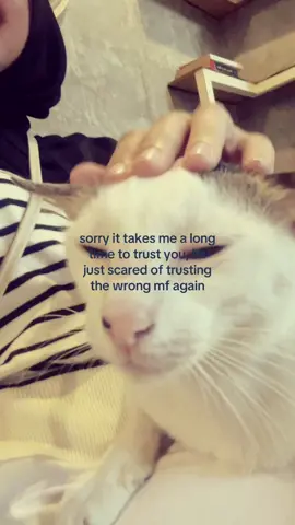 i hope we both wont ruin our peace 