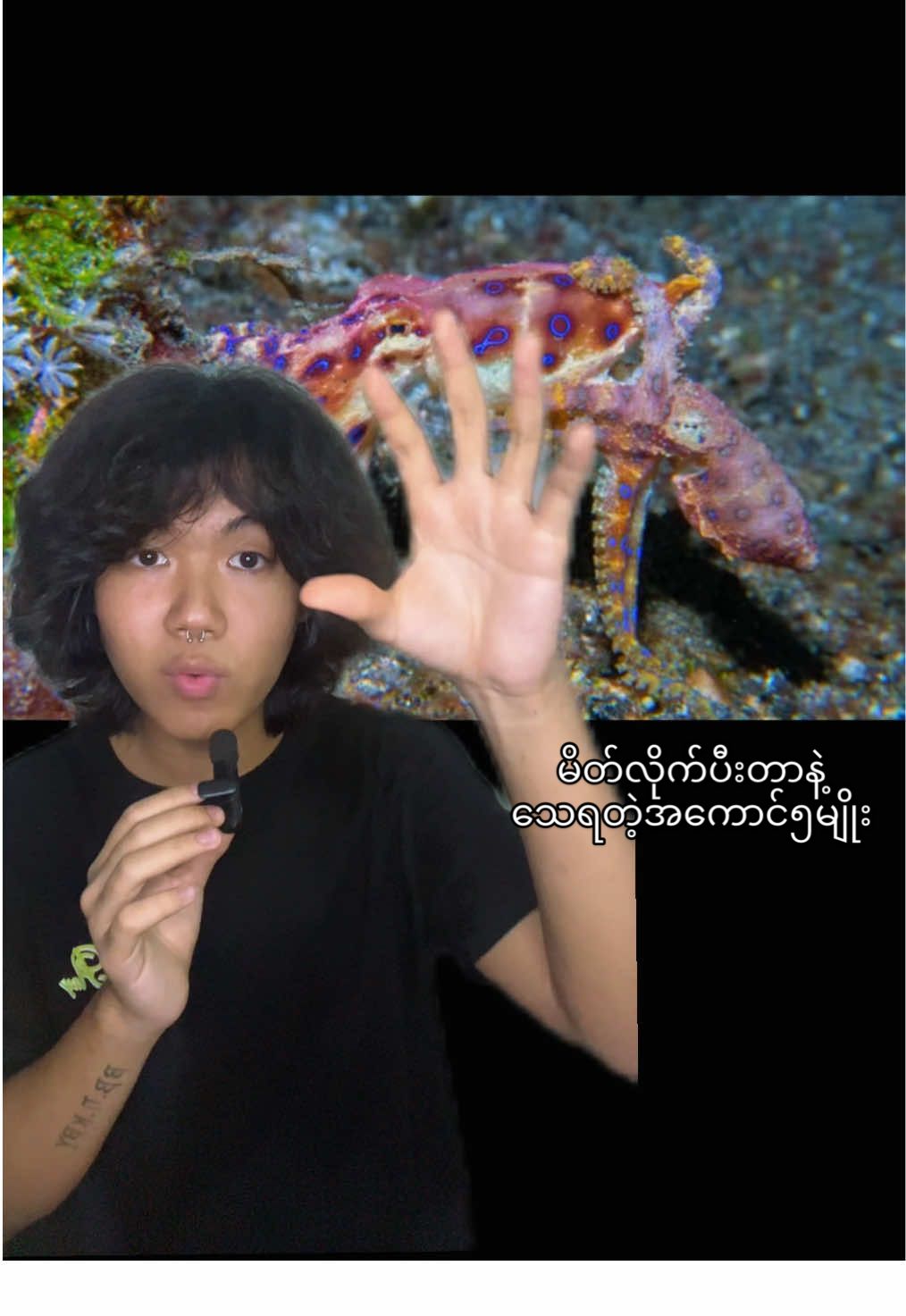 မိတ်လိုက်ပီးတာနဲ့ေ သရတဲ့တိရစ္ဆာန်၅မျိုး😟 ??? Disclaimer: This video contains fair use images. The music used is either original, licensed, or used under fair use. No animals were harmed during the making of this video. #foryoupage #educationalpurposesonly #myanmar #nativenerds #prayingmantis #blackwidow #anaconda #peacockspider #octupus  #กรีนสกรีนวิดีโอ #creatorsearchinsights 