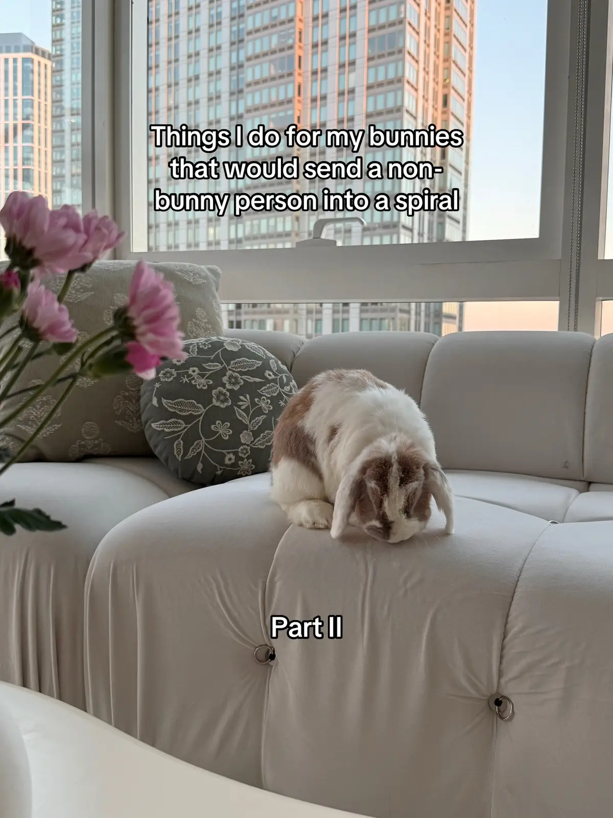 Part II for International Rabbit Day 🐰♥️
