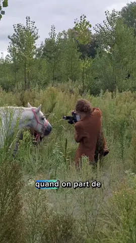 Extrait de l'épisode 18 de mon podcast 