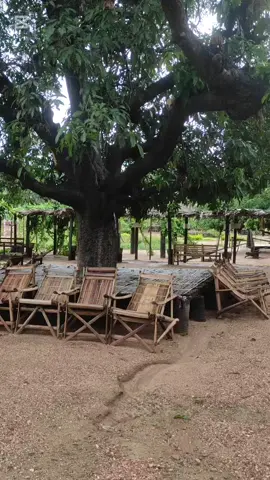 #ပိုင်ထန်းတဲ #အညာသူလေး #ပုဂံ #bagan #baganlocalguide 