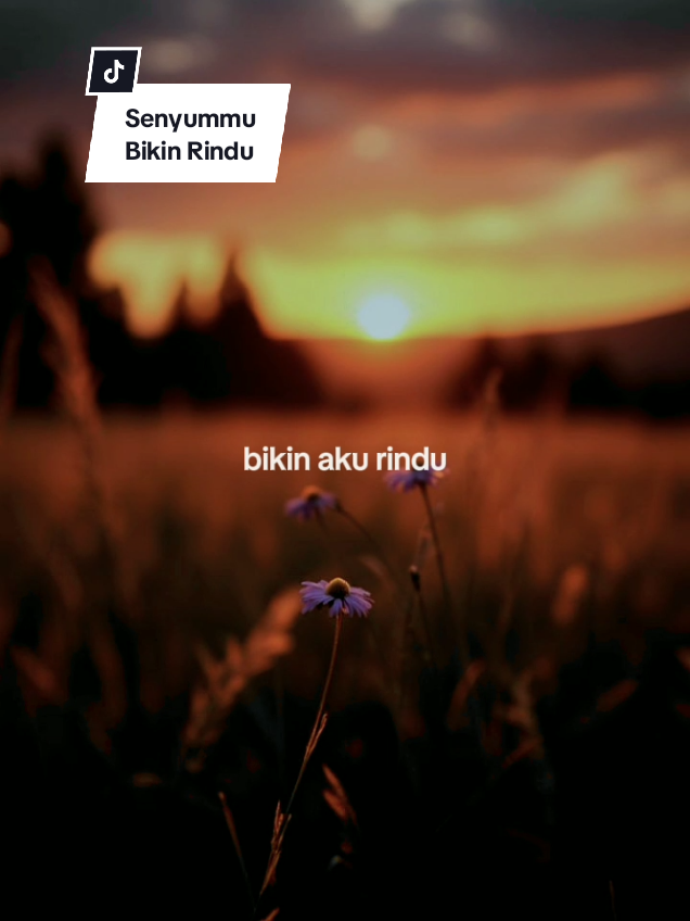 Senyummu Bikin Aku Rindu #lyrics #senyummubikinrindu #trendtiktok #CapCut 