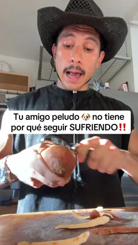 Tu amigo peludo 🐶 no tiene por qué seguir SUFRIENDO‼️ Cuídalo y procúralo suplementándolo de manera natural con el hongo coña de pavo 🦃 de Wonder Paws! 🐾 🐾 #hongocoladepavo #wonderpaws #perros #mascotas #saludcanina 