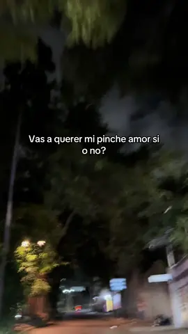 Sí o no vrg 