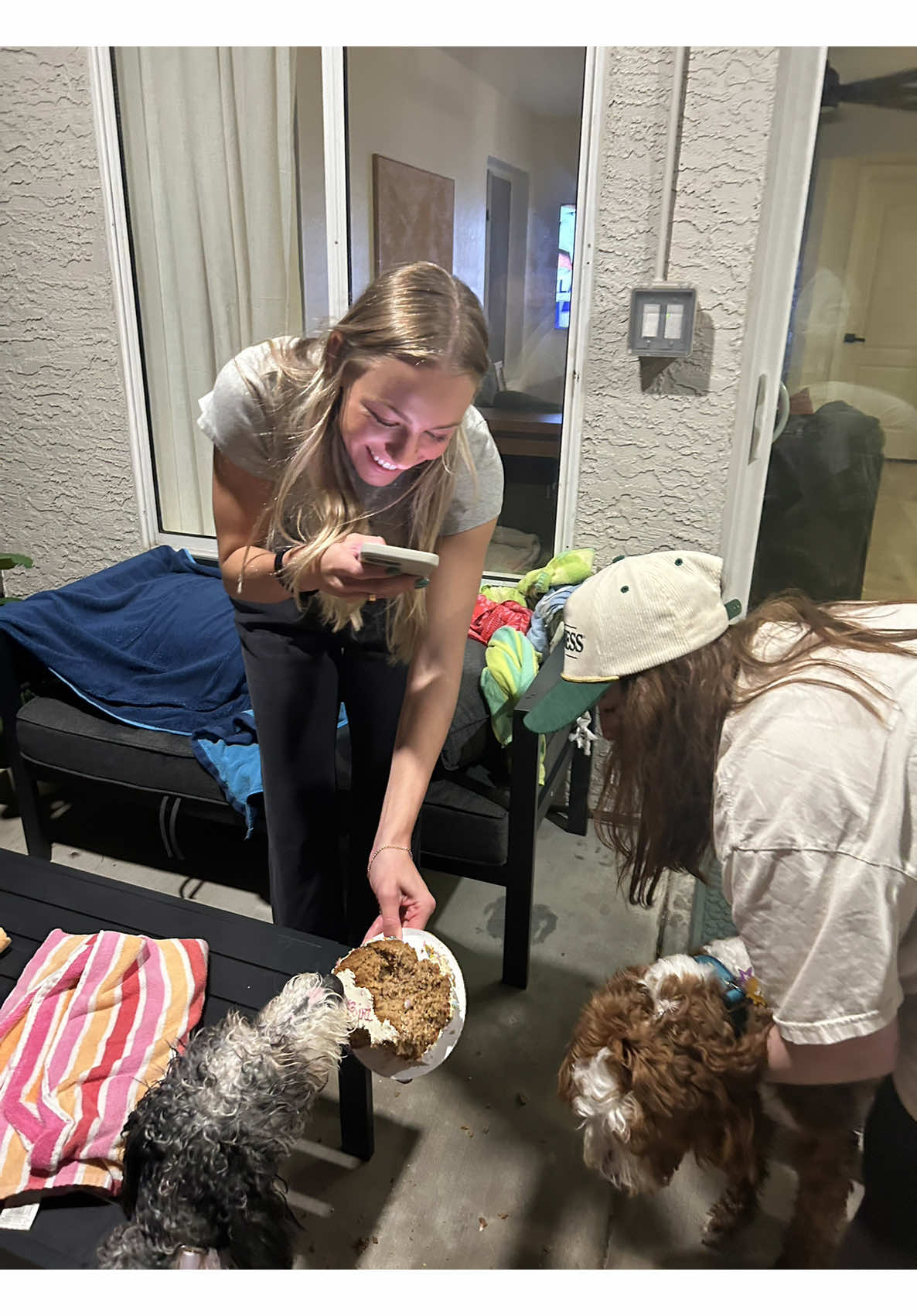 Dog party ❗️❗️❗️