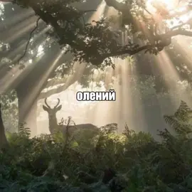 олений пенис - электрослабость, рай для ушей // #песня #song #оленийпенис #текстпесни #мойталисман 