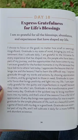 365 Days. 365 Affirmations.✨️✨️#manifestation #dailyaffirmations 