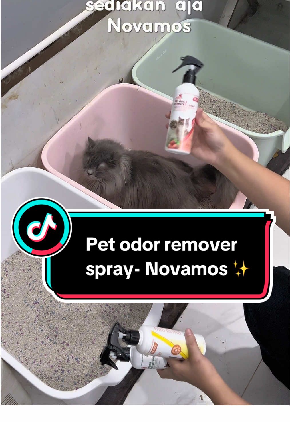 Mau pelihara anabul tapi takut sama bau tai nya? Pake ini aja gesss #petodorremover #petodorremoverspray #petodoreliminatorspray 
