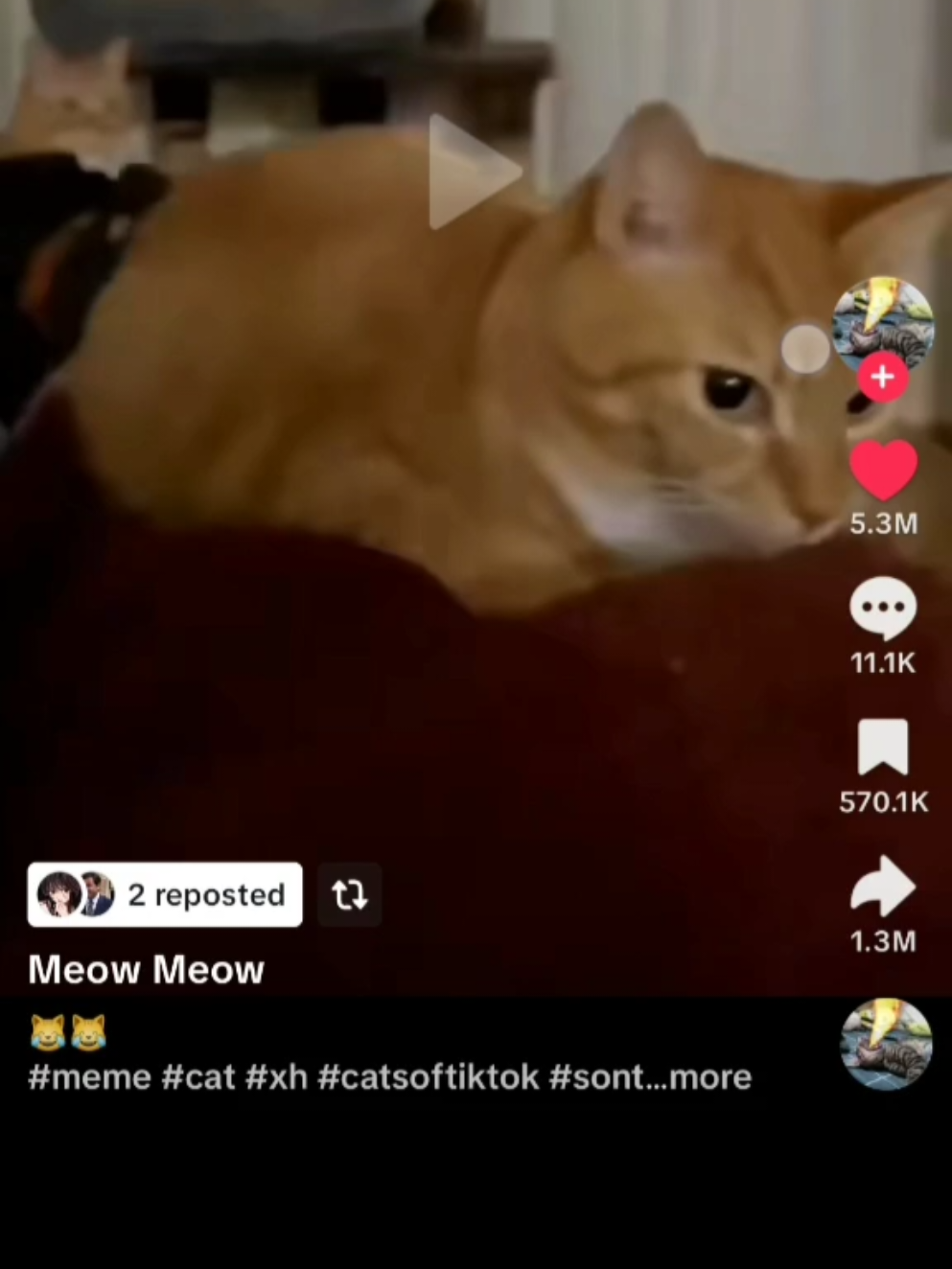 no edit just funny #fyp #anime #demonslayer #akaza #funny