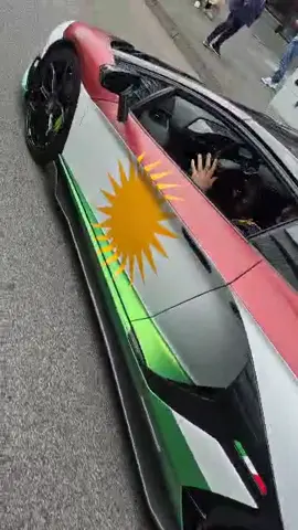 Wir haben Mönchengladbach verändert#kurdistan #❤️☀️💚 #kurdischehochzeit 