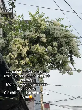 Thuận theo tự nhiên - tương phùng là duyên số