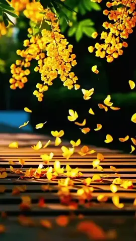 #naturebeauty #naturelover #relaxing #videobackground #foryou 