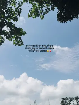 রুহতে আজ ভিষণ ব্যাথা, কিছু না পাওয়ার,কিছু অপেক্ষা,কেউ একজন কে ভিষণ করে চাওয়ার 😅❤️‍🩹 #fyp #trending #asmishal @TikTok 
