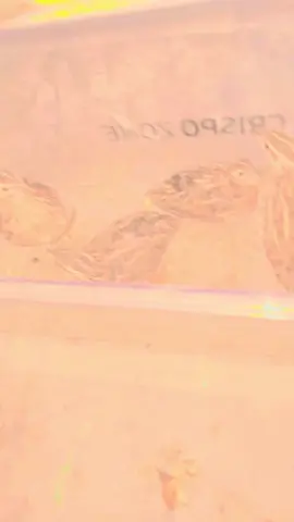 #😚😚😍😍😍😍😍🥰🥰🥰🧐😬🤲🤗❤️❤️❤️❤️💕💕💕❤️💕💕 