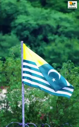 #ma kashmir ho✌️✌️✌️✌️#tiktokviralforyou 