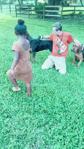Animals everywhere